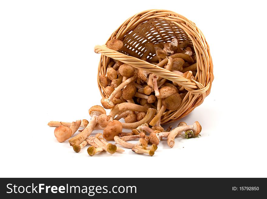 Mushrooms in a basket isolated on a white background