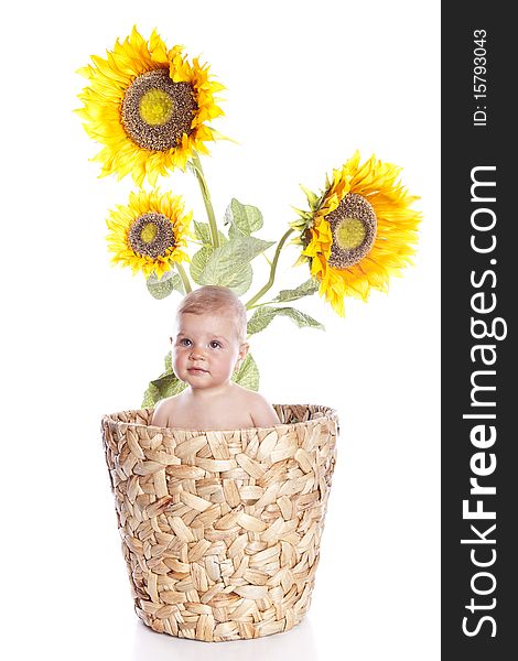 Baby girl with flowers on white background