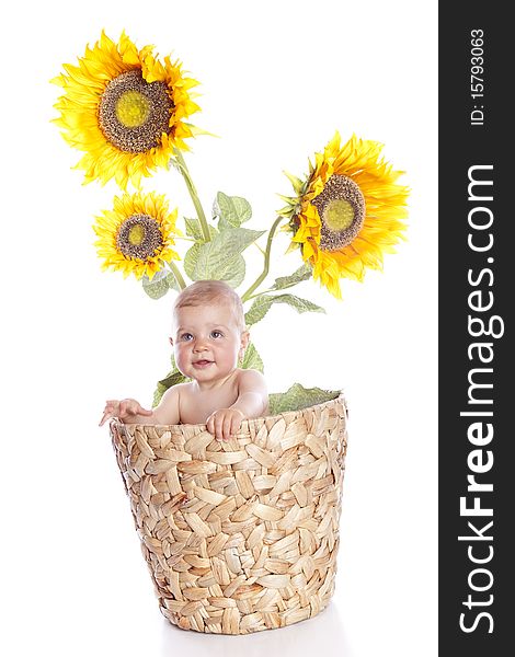 Baby girl with flowers on white background