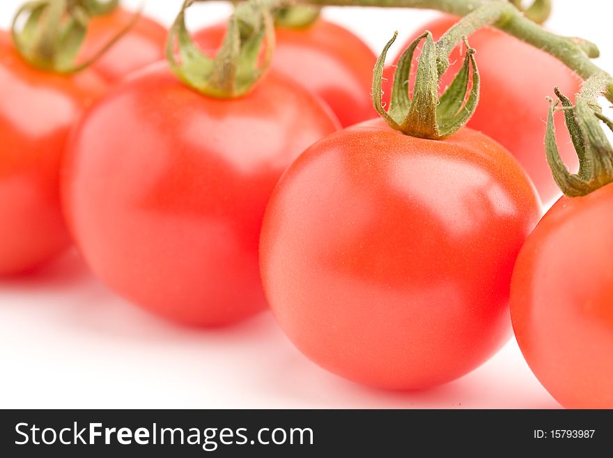 Close up of a cherry tomatoes on vine. Close up of a cherry tomatoes on vine.