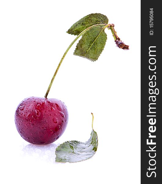 Sweet Cherry Isolated Over White Background