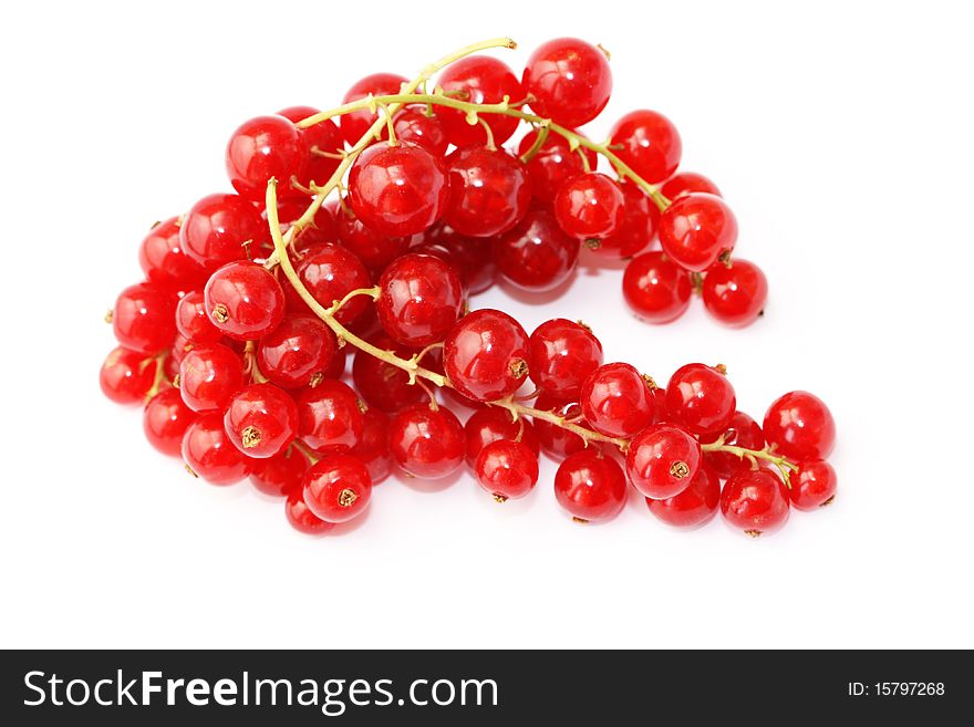 Branch of a red currant on a white background