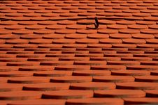 Red Roof Stock Photography