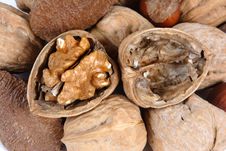 Cracked Walnut Stock Photo Cracked Walnut Stock Photo