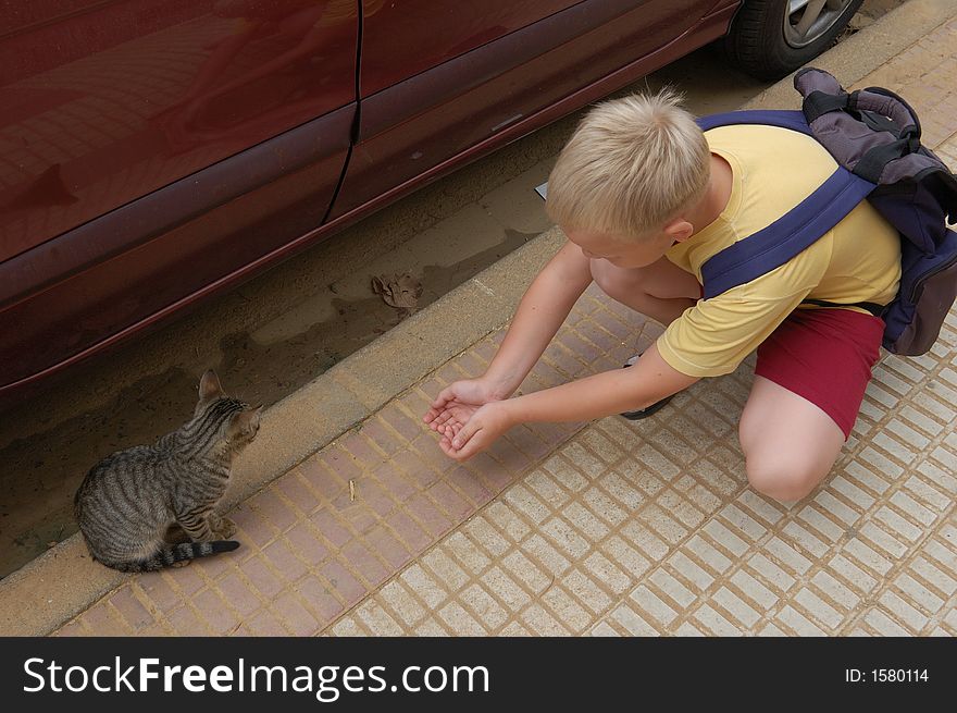 Boy meets kitty on a street