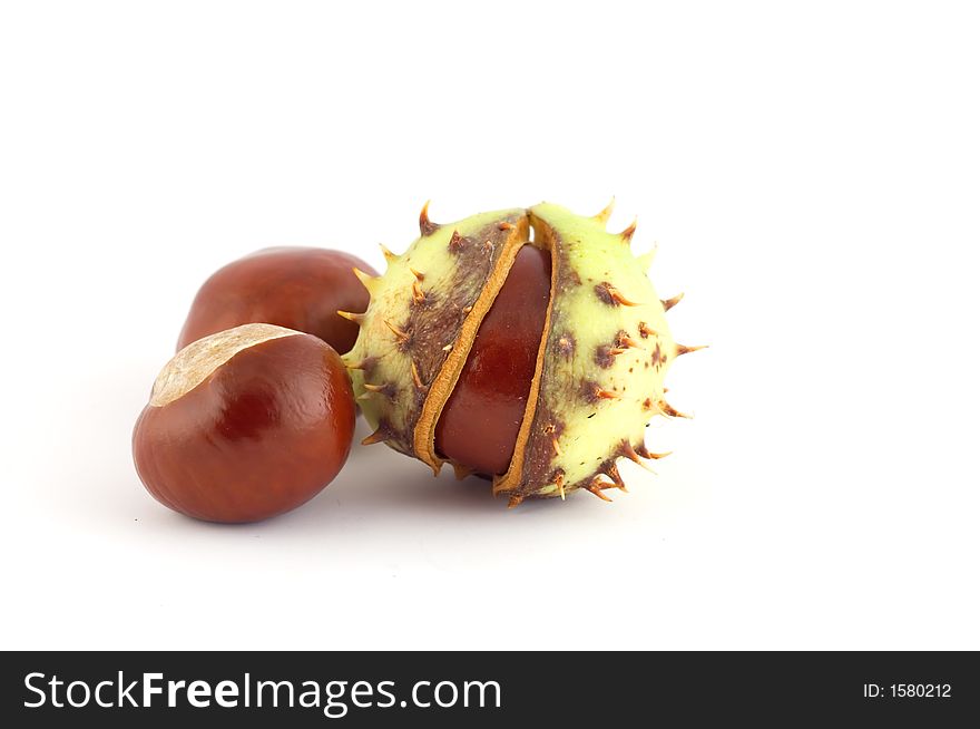 Isolated chestnuts on white background