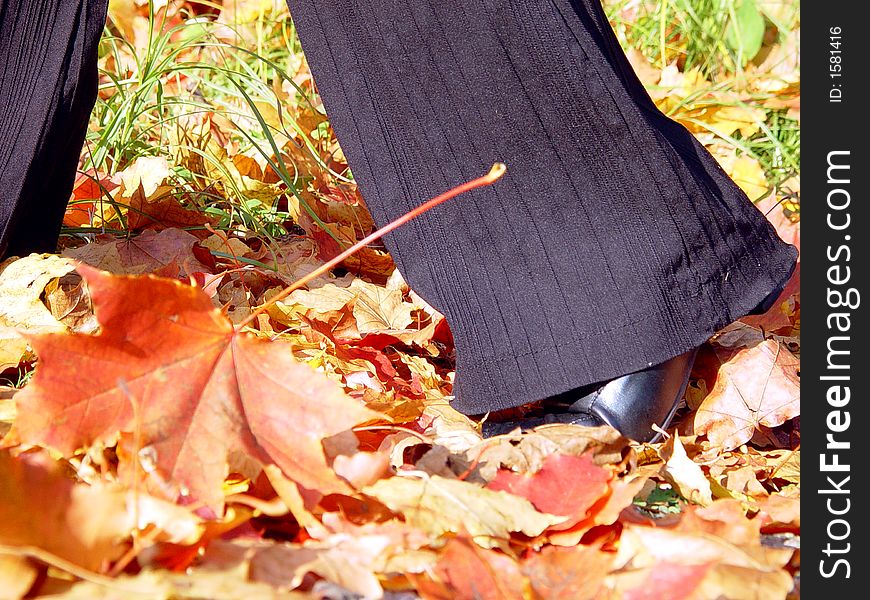 Leg in the autumn background, in the leaves