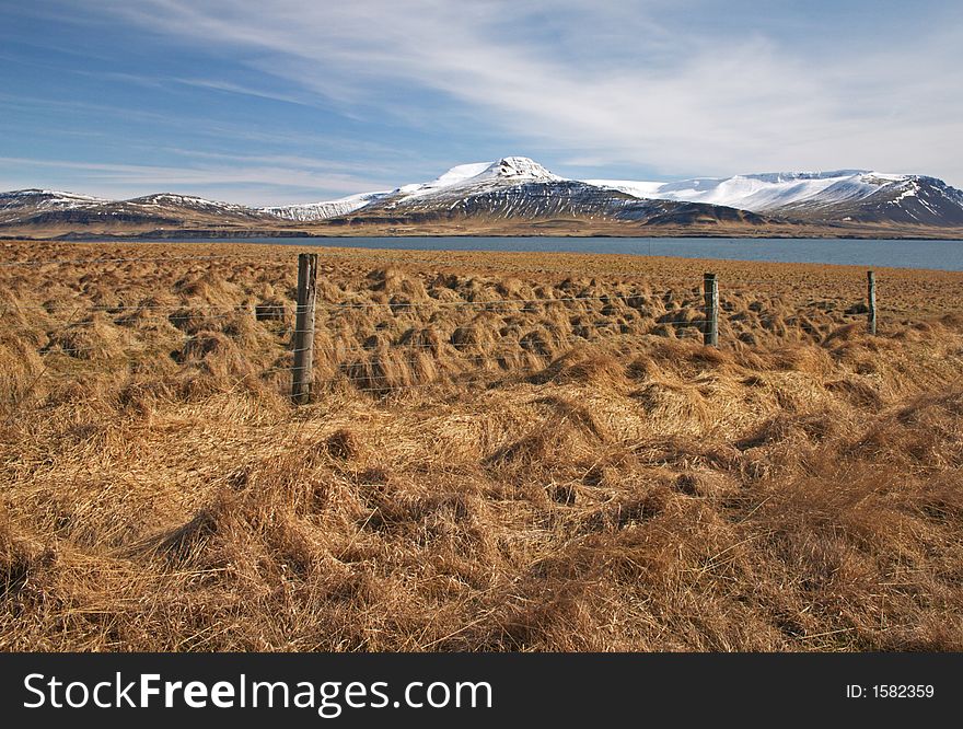 Dry grass, sea and mountains. Dry grass, sea and mountains