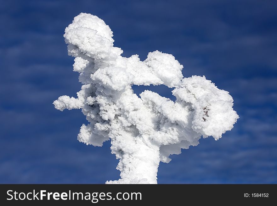 Winter branches with snow against blue sky 7