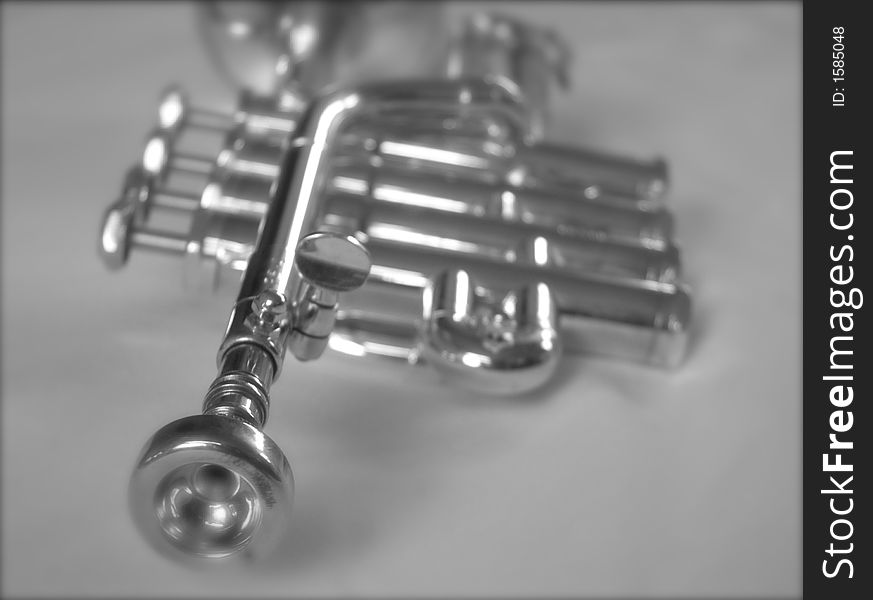 Silver Trumpet II