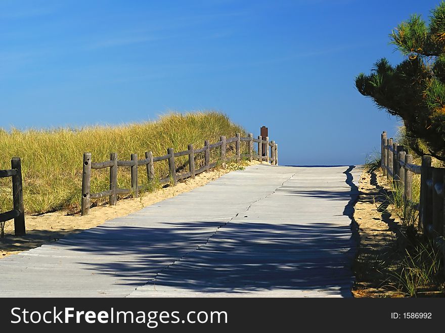 A walkway through the dunes to the beach. A walkway through the dunes to the beach