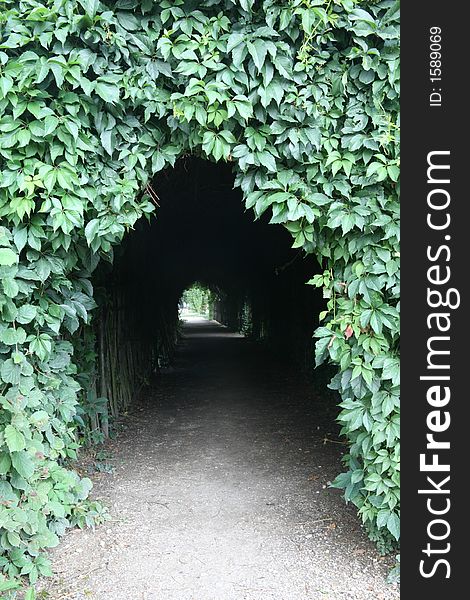 Tunnel made of bushes in the garden at Petit Hameau, Versaille, France.