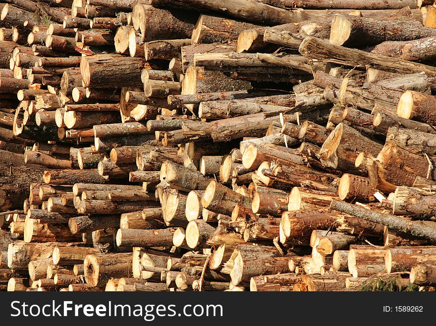 Spruce tree logs as background. Spruce tree logs as background