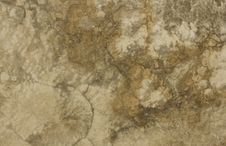Surface Of The Travertine. Brown. Stock Image Surface Of The Travertine. Brown. Stock Image