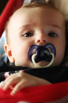 Portrait Baby Stock Image Portrait Baby Stock Image