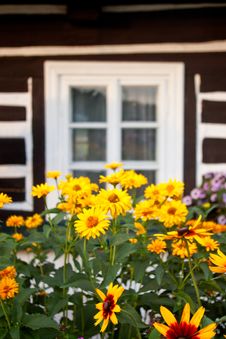 Window Stock Images