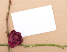 Dry Rose With Card Stock Photos Dry Rose With Card Stock Photos