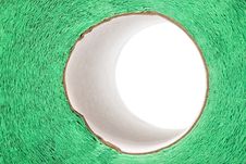 Toilet Paper Green Close Up Stock Photo