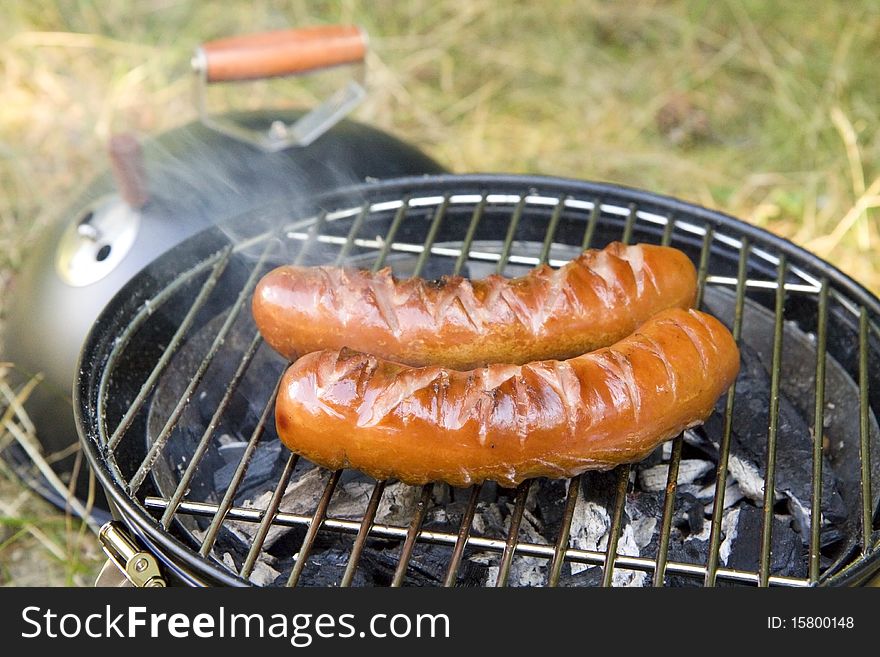 Closeup on two grilled sliced sausages, tasty picnic food. Closeup on two grilled sliced sausages, tasty picnic food