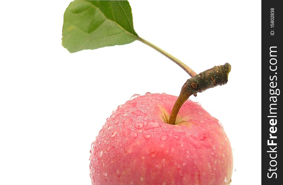 An apple with a leaf.