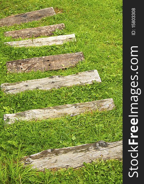 Scale in lawn with wooden steps. Scale in lawn with wooden steps