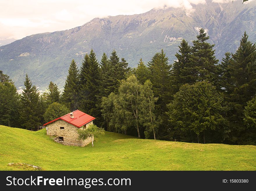 Meadow of mountain flowers and refuges. Meadow of mountain flowers and refuges