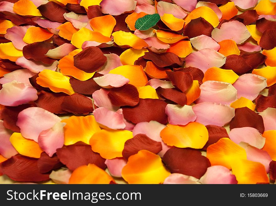 The pattern of artificial rose petals on the table. The pattern of artificial rose petals on the table.