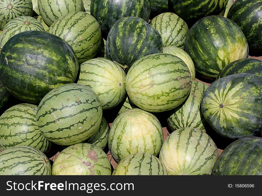 Many ripe and juicy watermelons