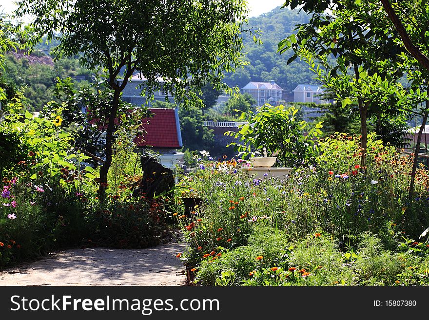 Flowers bloom in summer garden