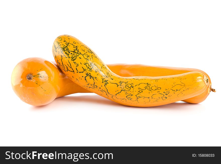 Ripe squash isolated on a white background