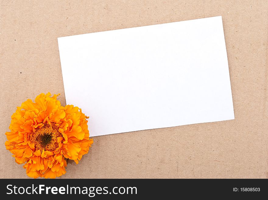 Flower with message-card on cardboard background