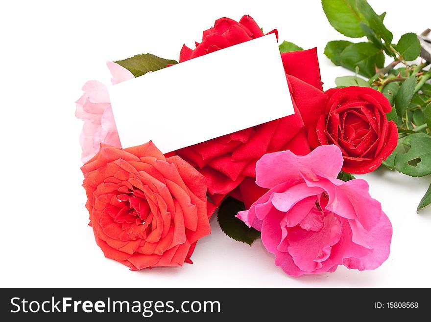 Roses with card on white