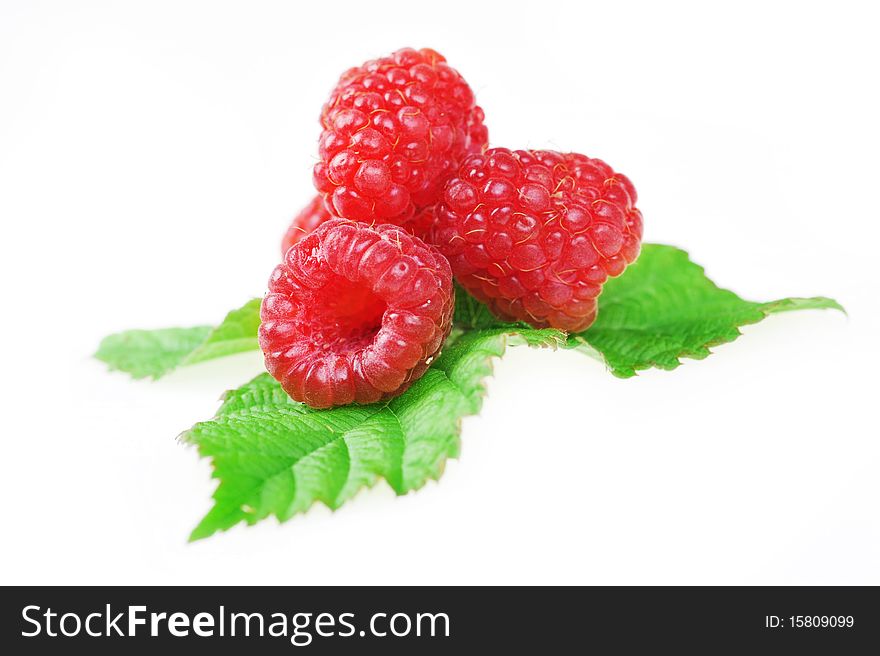 Ripe red raspberries with green leaves close up