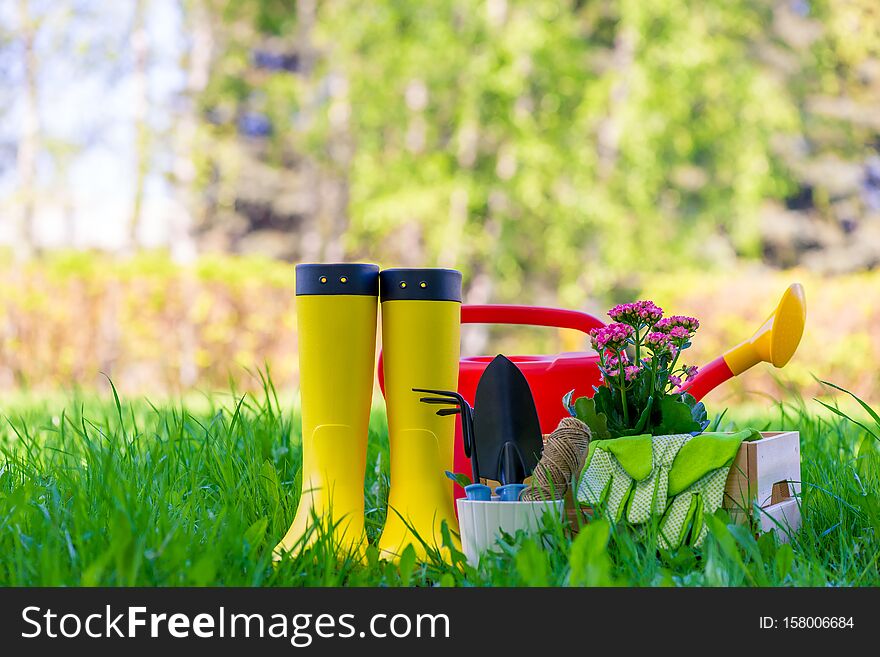 Concept photo tools for working in the garden, objects for spring works close up