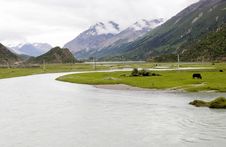 River And Grassland Royalty Free Stock Image River And Grassland Royalty Free Stock Image