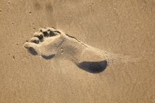 Footprints At The Beach Stock Photos Footprints At The Beach Stock Photos