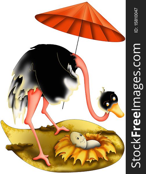 Mother ostrich with parasol