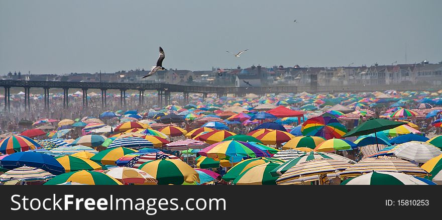 Beach crowded with umbrellas on a hot sweltering day. Beach crowded with umbrellas on a hot sweltering day