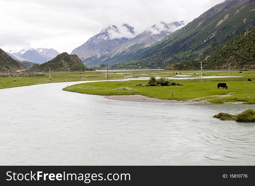 River and grassland