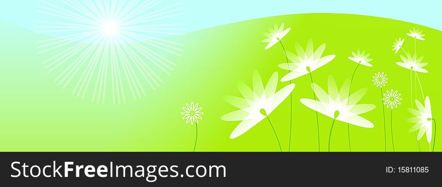Sunny summer meadow with blooming flowers - illustration. Sunny summer meadow with blooming flowers - illustration