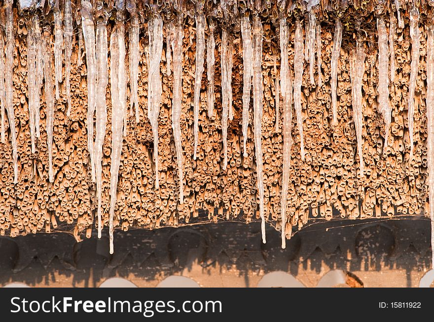 Icicles on a  traditional reed roof. Icicles on a  traditional reed roof