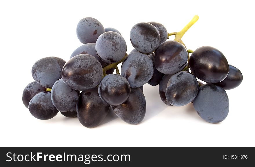 Ripe bunches of blue grapes isolated on white. Ripe bunches of blue grapes isolated on white