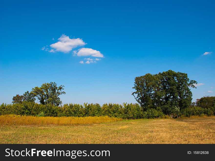 Beautiful landscape with sky, clouds, grass and trees