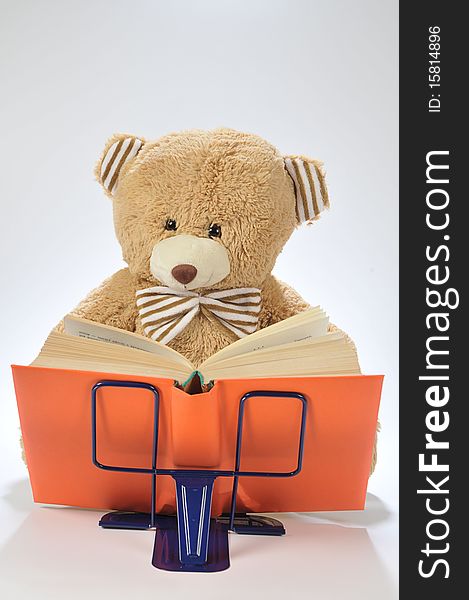 Image of a stuffed bear reading a book