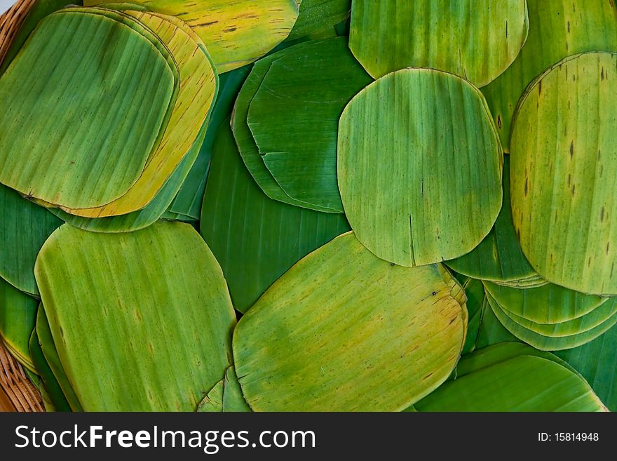 Banana leaf ,for wrap Thai style dessert