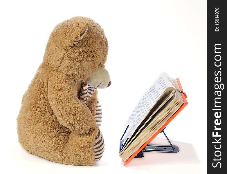 Image of a stuffed bear reading a book