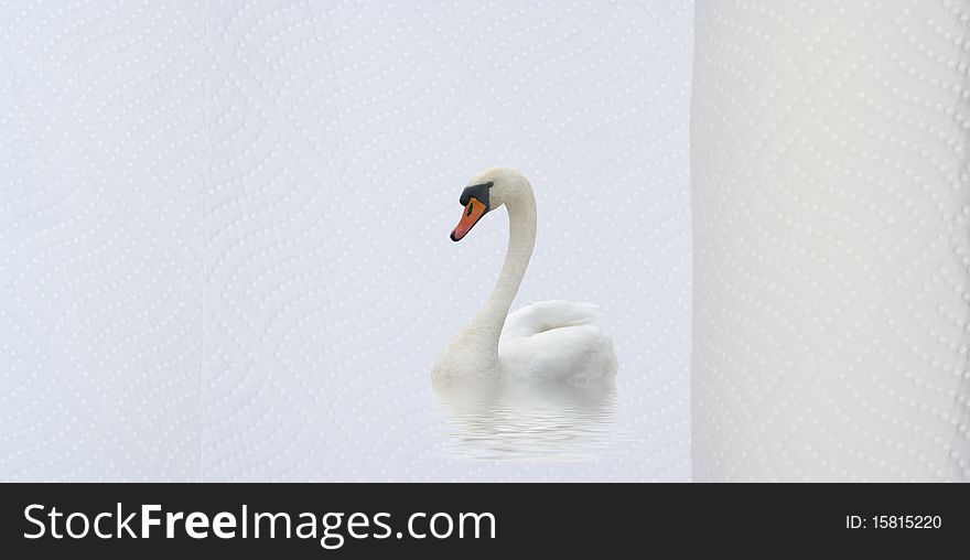 White hygiene towel and swan on water. White hygiene towel and swan on water.