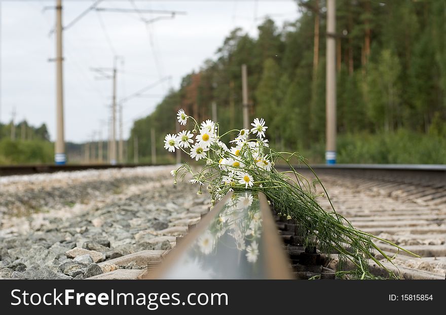 The bouquet of white chamomiles lies on railway rails. The bouquet of white chamomiles lies on railway rails