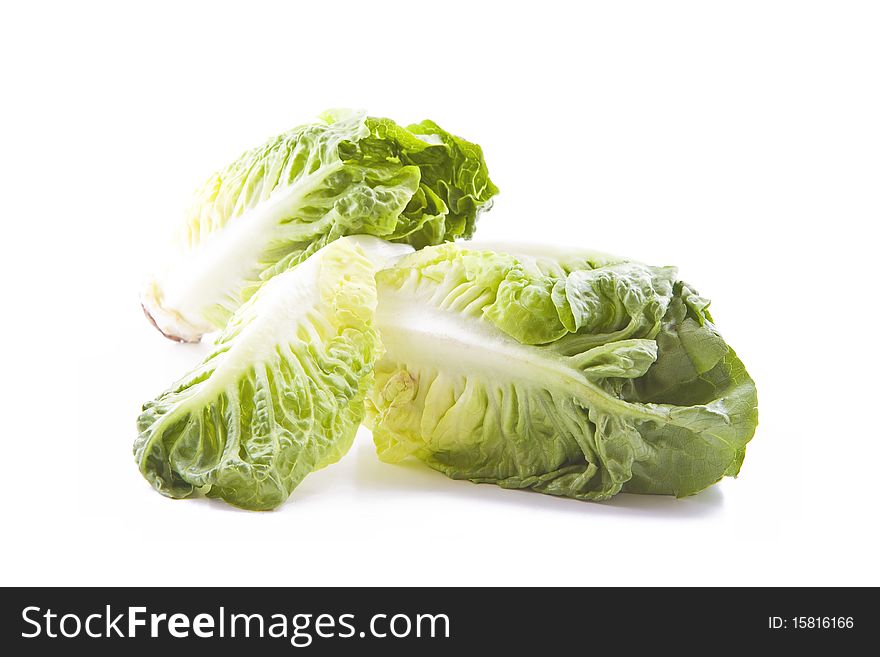 Fresh green leafs of lettuces isolated on white. Fresh green leafs of lettuces isolated on white
