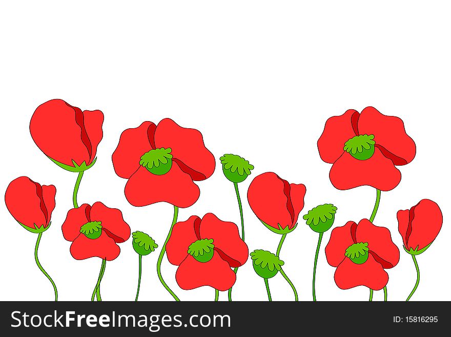 Poppies